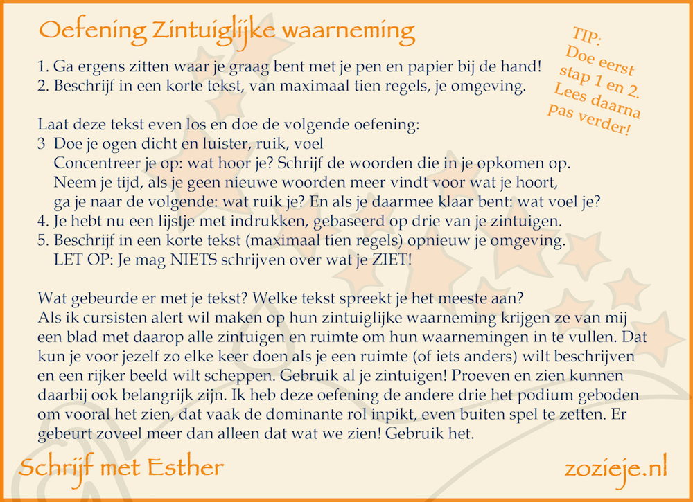 zintuiglijke waarneming